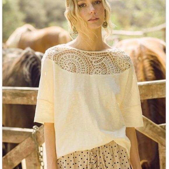 NEW Gorgeous Lace Yoke Embroidered Crochet Top - Picture 9 of 11